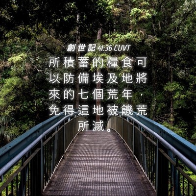 Picture 04 - 創 世 記 41:36 CUVT - 所 積 蓄 的 糧 食 可 以 防 備 埃 及 - Bible Verse Picture