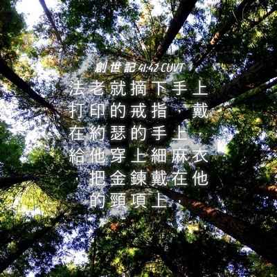 Picture 04 - 創 世 記 41:42 CUVT - 法 老 就 摘 下 手 上 打 印 的 戒 指 - Bible Verse Picture