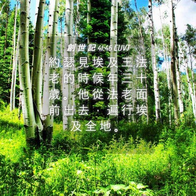 Picture 04 - 創 世 記 41:46 CUVT - 約 瑟 見 埃 及 王 法 老 的 時 候 年 - Bible Verse Picture