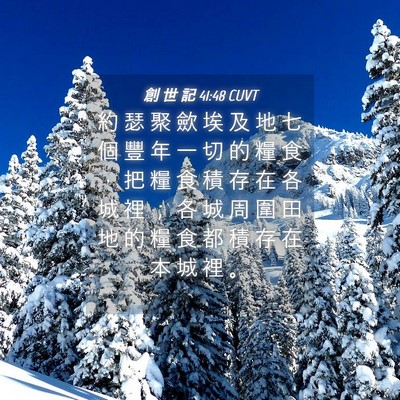 Picture 04 - 創 世 記 41:48 CUVT - 約 瑟 聚 歛 埃 及 地 七 個 豐 年 一 - Bible Verse Picture