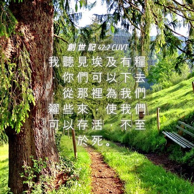 Picture 04 - 創 世 記 42:2 CUVT - 我 聽 見 埃 及 有 糧 ， 你 們 可 以 - Bible Verse Picture