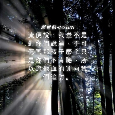 Picture 04 - 創 世 記 42:22 CUVT - 流 便 說 ： 我 豈 不 是 對 你 們 說 - Bible Verse Picture
