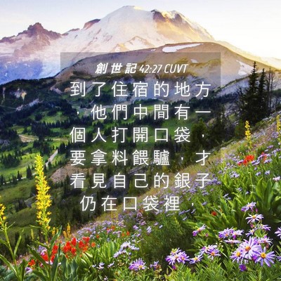 Picture 04 - 創 世 記 42:27 CUVT - 到 了 住 宿 的 地 方 ， 他 們 中 間 - Bible Verse Picture