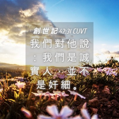 Picture 04 - 創 世 記 42:31 CUVT - 我 們 對 他 說 ： 我 們 是 誠 實 人 - Bible Verse Picture
