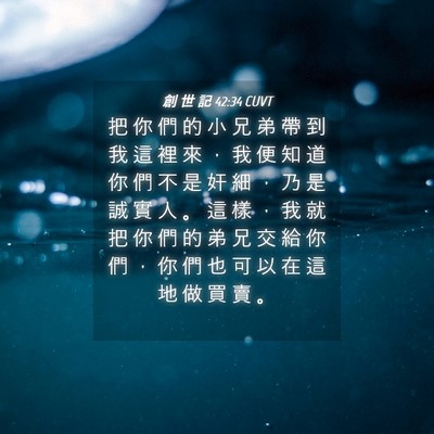 Picture 04 - 創 世 記 42:34 CUVT - 把 你 們 的 小 兄 弟 帶 到 我 這 裡 - Bible Verse Picture