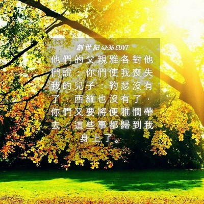 Picture 04 - 創 世 記 42:36 CUVT - 他 們 的 父 親 雅 各 對 他 們 說 ： - Bible Verse Picture