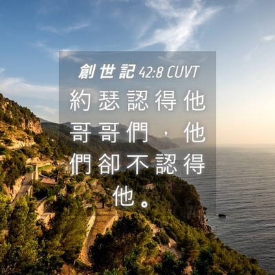 Picture 04 - 創 世 記 42:8 CUVT - 約 瑟 認 得 他 哥 哥 們 ， 他 們 卻 - Bible Verse Picture