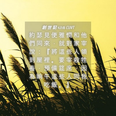 Picture 04 - 創 世 記 43:16 CUVT - 約 瑟 見 便 雅 憫 和 他 們 同 來 ， - Bible Verse Picture