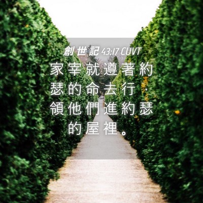 Picture 04 - 創 世 記 43:17 CUVT - 家 宰 就 遵 著 約 瑟 的 命 去 行 ， - Bible Verse Picture