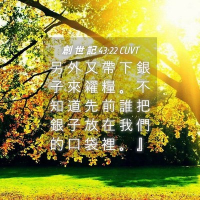 Picture 04 - 創 世 記 43:22 CUVT - 另 外 又 帶 下 銀 子 來 糴 糧 。 不 - Bible Verse Picture