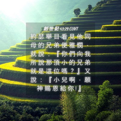 Picture 04 - 創 世 記 43:29 CUVT - 約 瑟 舉 目 看 見 他 同 母 的 兄 弟 - Bible Verse Picture
