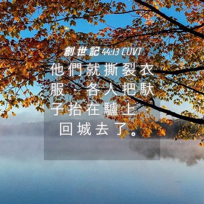 Picture 04 - 創 世 記 44:13 CUVT - 他 們 就 撕 裂 衣 服 ， 各 人 把 馱 - Bible Verse Picture