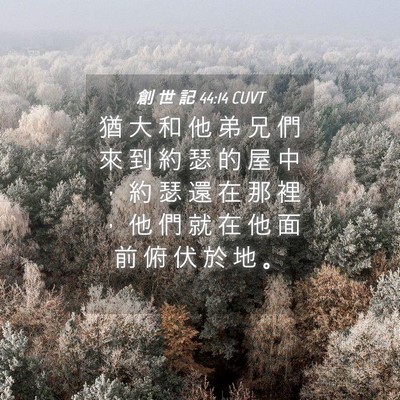 Picture 04 - 創 世 記 44:14 CUVT - 猶 大 和 他 弟 兄 們 來 到 約 瑟 的 - Bible Verse Picture