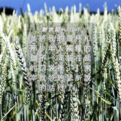 Picture 04 - 創 世 記 44:2 CUVT - 並 將 我 的 銀 杯 和 那 少 年 人 糴 - Bible Verse Picture