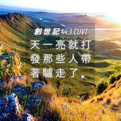 Picture 04 - 創 世 記 44:3 CUVT - 天 一 亮 就 打 發 那 些 人 帶 著 驢 - Bible Verse Picture