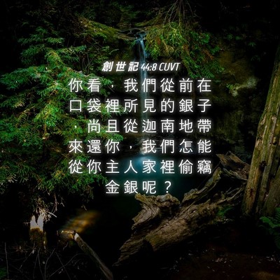 Picture 04 - 創 世 記 44:8 CUVT - 你 看 ， 我 們 從 前 在 口 袋 裡 所 - Bible Verse Picture