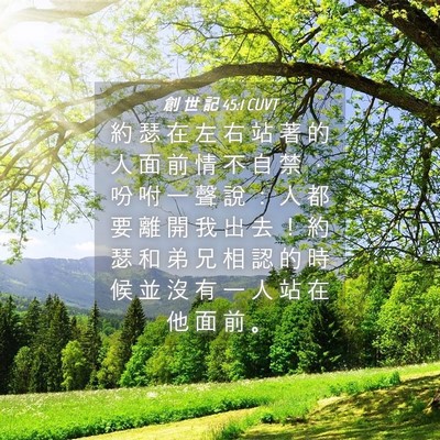 Picture 04 - 創 世 記 45:1 CUVT - 約 瑟 在 左 右 站 著 的 人 面 前 情 - Bible Verse Picture