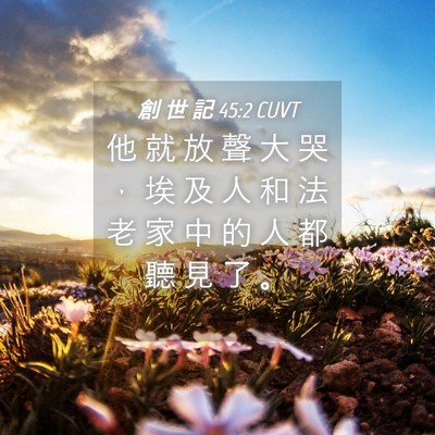 Picture 04 - 創 世 記 45:2 CUVT - 他 就 放 聲 大 哭 ， 埃 及 人 和 法 - Bible Verse Picture