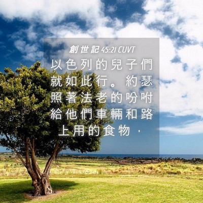 Picture 04 - 創 世 記 45:21 CUVT - 以 色 列 的 兒 子 們 就 如 此 行 。 - Bible Verse Picture