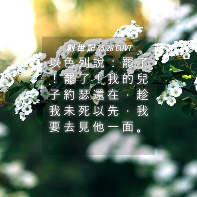 Picture 04 - 創 世 記 45:28 CUVT - 以 色 列 說 ： 罷 了 ！ 罷 了 ！ 我 - Bible Verse Picture