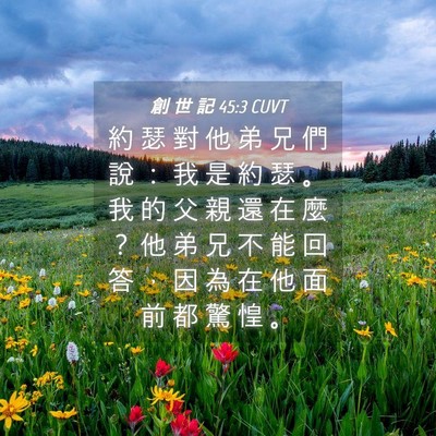Picture 04 - 創 世 記 45:3 CUVT - 約 瑟 對 他 弟 兄 們 說 ： 我 是 約 - Bible Verse Picture