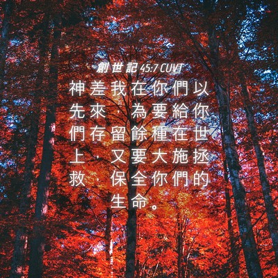 Picture 04 - 創 世 記 45:7 CUVT - 神 差 我 在 你 們 以 先 來 ， 為 要 - Bible Verse Picture