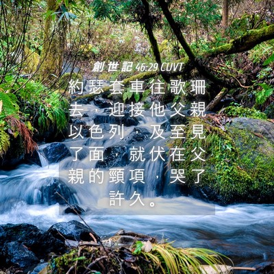 Picture 04 - 創 世 記 46:29 CUVT - 約 瑟 套 車 往 歌 珊 去 ， 迎 接 他 - Bible Verse Picture
