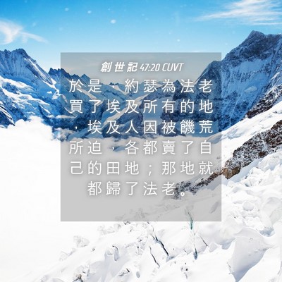 Picture 04 - 創 世 記 47:20 CUVT - 於 是 ， 約 瑟 為 法 老 買 了 埃 及 - Bible Verse Picture