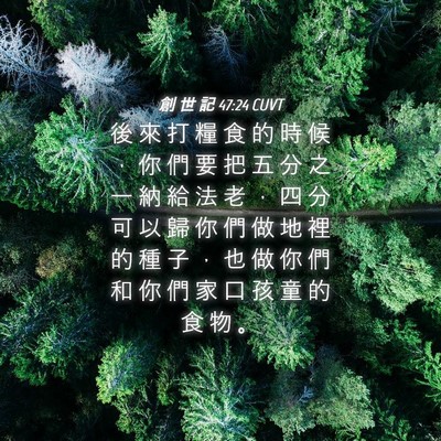 Picture 04 - 創 世 記 47:24 CUVT - 後 來 打 糧 食 的 時 候 ， 你 們 要 - Bible Verse Picture