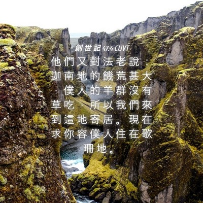 Picture 04 - 創 世 記 47:4 CUVT - 他 們 又 對 法 老 說 ： 迦 南 地 的 - Bible Verse Picture
