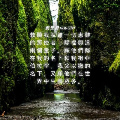 Picture 04 - 創 世 記 48:16 CUVT - 救 贖 我 脫 離 一 切 患 難 的 那 使 - Bible Verse Picture