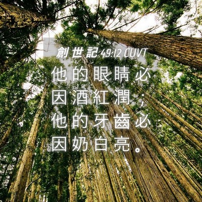 Picture 04 - 創 世 記 49:12 CUVT - 他 的 眼 睛 必 因 酒 紅 潤 ； 他 的 - Bible Verse Picture