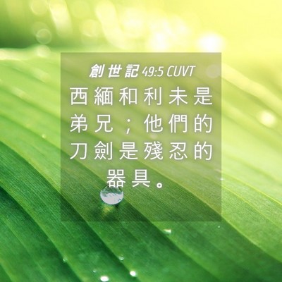Picture 04 - 創 世 記 49:5 CUVT - 西 緬 和 利 未 是 弟 兄 ； 他 們 的 - Bible Verse Picture