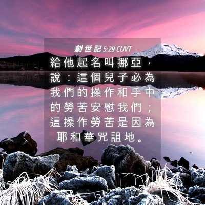 Picture 04 - 創 世 記 5:29 CUVT - 給 他 起 名 叫 挪 亞 ， 說 ： 這 個 - Bible Verse Picture