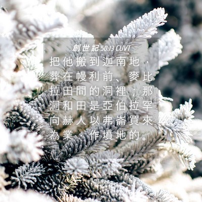 Picture 04 - 創 世 記 50:13 CUVT - 把 他 搬 到 迦 南 地 ， 葬 在 幔 利 - Bible Verse Picture