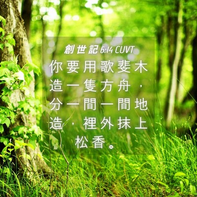 Picture 04 - 創 世 記 6:14 CUVT - 你 要 用 歌 斐 木 造 一 隻 方 舟 ， - Bible Verse Picture