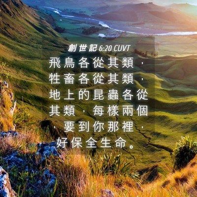 Picture 04 - 創 世 記 6:20 CUVT - 飛 鳥 各 從 其 類 ， 牲 畜 各 從 其 - Bible Verse Picture