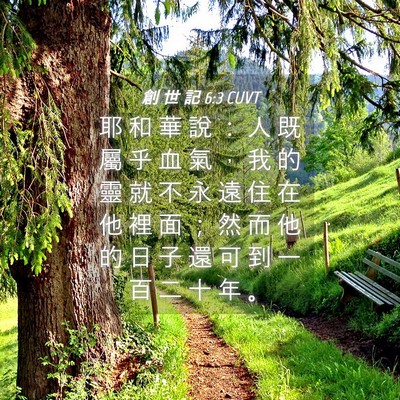 Picture 04 - 創 世 記 6:3 CUVT - 耶 和 華 說 ： 人 既 屬 乎 血 氣 ， - Bible Verse Picture