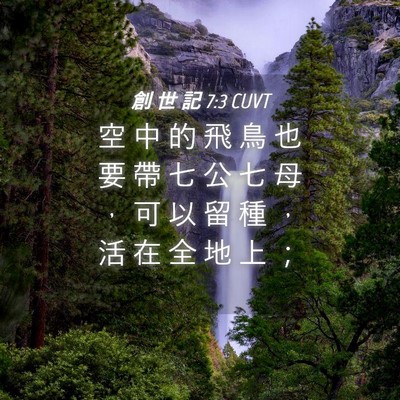 Picture 04 - 創 世 記 7:3 CUVT - 空 中 的 飛 鳥 也 要 帶 七 公 七 母 - Bible Verse Picture