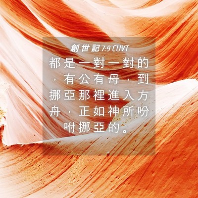 Picture 04 - 創 世 記 7:9 CUVT - 都 是 一 對 一 對 的 ， 有 公 有 母 - Bible Verse Picture
