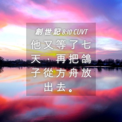 Picture 04 - 創 世 記 8:10 CUVT - 他 又 等 了 七 天 ， 再 把 鴿 子 從 - Bible Verse Picture