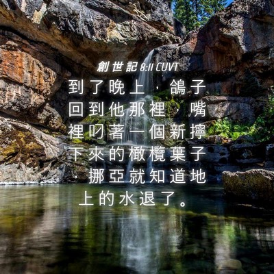 Picture 04 - 創 世 記 8:11 CUVT - 到 了 晚 上 ， 鴿 子 回 到 他 那 裡 - Bible Verse Picture