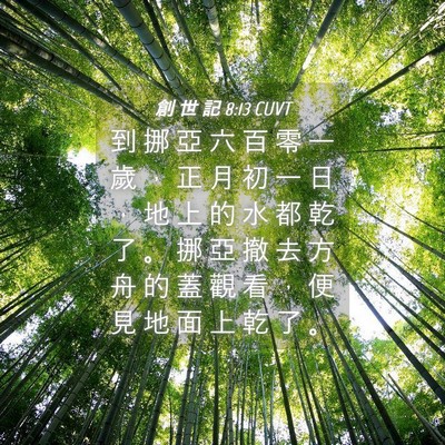 Picture 04 - 創 世 記 8:13 CUVT - 到 挪 亞 六 百 零 一 歲 ， 正 月 初 - Bible Verse Picture