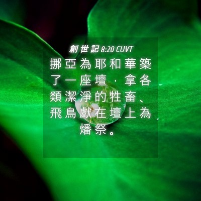 Picture 04 - 創 世 記 8:20 CUVT - 挪 亞 為 耶 和 華 築 了 一 座 壇 ， - Bible Verse Picture