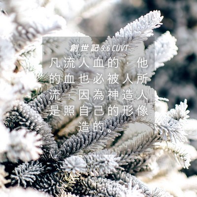 Picture 04 - 創 世 記 9:6 CUVT - 凡 流 人 血 的 ， 他 的 血 也 必 被 - Bible Verse Picture