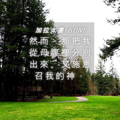 Picture 04 - 加 拉 太 書 1:15 CUVT - 然 而 ， 那 把 我 從 母 腹 裡 分 別 - Bible Verse Picture