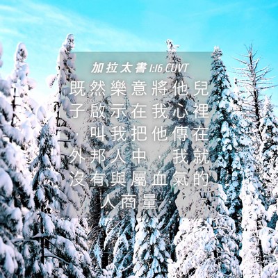 Picture 04 - 加 拉 太 書 1:16 CUVT - 既 然 樂 意 將 他 兒 子 啟 示 在 我 - Bible Verse Picture