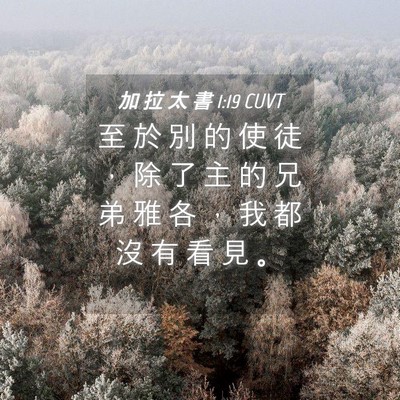 Picture 04 - 加 拉 太 書 1:19 CUVT - 至 於 別 的 使 徒 ， 除 了 主 的 兄 - Bible Verse Picture
