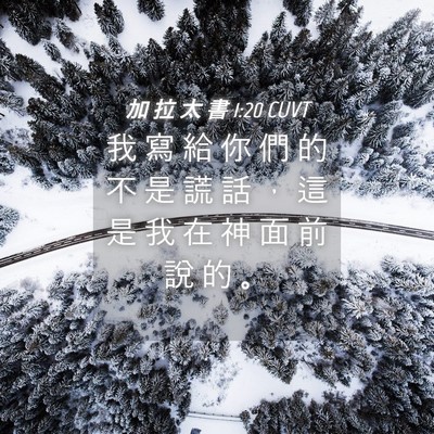 Picture 04 - 加 拉 太 書 1:20 CUVT - 我 寫 給 你 們 的 不 是 謊 話 ， 這 - Bible Verse Picture