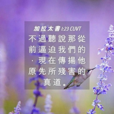 Picture 04 - 加 拉 太 書 1:23 CUVT - 不 過 聽 說 那 從 前 逼 迫 我 們 的 - Bible Verse Picture